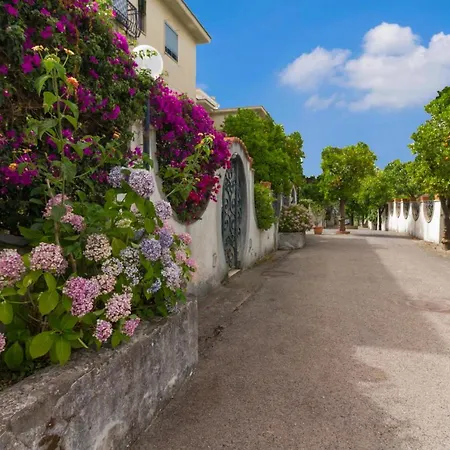 Bed & Breakfast Cri&gio Sorrento